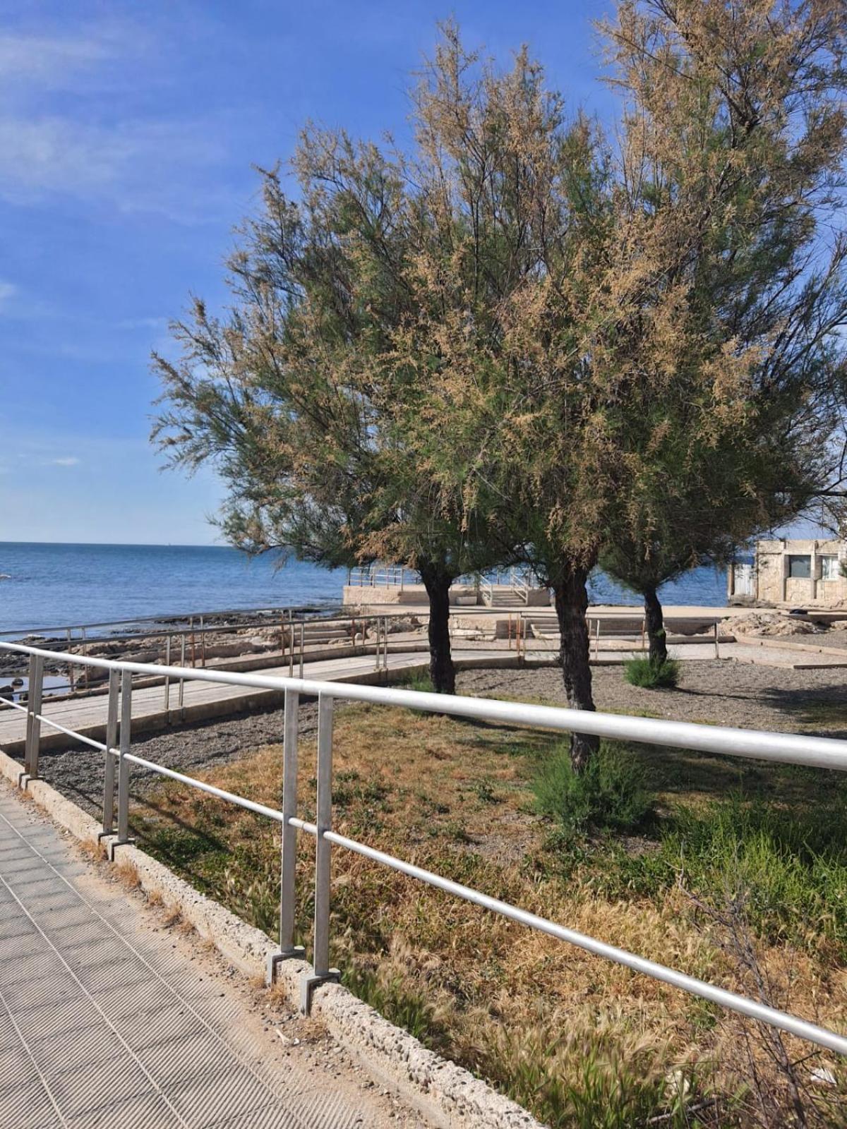 Bari Amare - Home Buitenkant foto